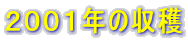 QOOPN̎n