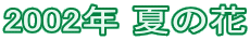 2002N Ẳ