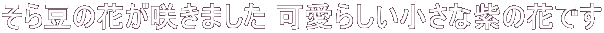 瓤̉Ԃ炫܂ 炵Ȏ̉Ԃł 