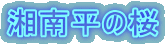 Ó약̍ 