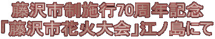 s{s70NLO usԉΑv]mɂ 