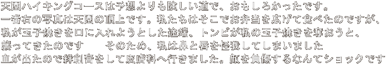 VnCLOR[X͗\zŁA납łB ԉE̎ʐ^͓V̒łB͂łٓLĐĤׂłA ʎqĂɓ悤Ƃr[Agr̋ʎqĂDƁA PĂ̂ł@@̂߁A͕@ƐO䂵Ă܂܂@@ ôJnpĔ畆Ȃ֍s܂B𕉏ȂăVbNł 