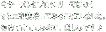 V[Y̓ubR[ł͂Ȃ 瓤͔|Ă݂邱Ƃɂ܂B ߂ĈĂĂ݂܂By݂ł 