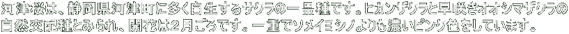 ͒Í́AÉ͒ÒɑTN̈iłBqJUNƑ炫IIV}UN RzƂ݂AJԂ͂QłBdŃ\CVmZsNFĂ܂B 