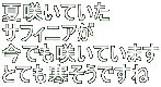 č炢Ă TtBjA ł炢Ă܂ ƂĂł 