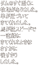 _̂߂ qꂪ܂B r߂Â Ă܂B n҃Xs[h ꒼ ĂꂽƂ  ジ ܂B 