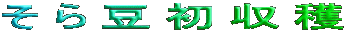 瓤n 