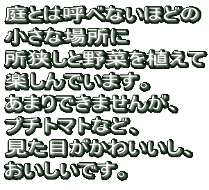 Ƃ͌ĂׂȂقǂ ȏꏊ Ɩ؂A ył܂B ܂ł܂񂪁A v`g}gȂǁA ڂ킢A łB 