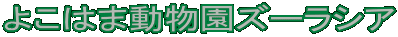 悱͂ܓY[VA 