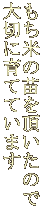 Ă̕c𒸂̂ ؂ɈĂĂ܂ 