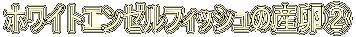 zCgG[tBbV̎YA 