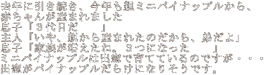 NɈANe~jpCibvA Ԃ񂪎Y܂܂ quRڂ@@v luAeY܂ꂽ̂A킾v quƑˁBRɂȂ@@v ~jpCibv͏oňĂĂ̂łEEE opCibv炯ɂȂ肻łB 