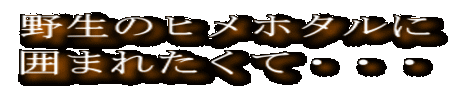 쐶̃qz^ ͂܂ꂽāEEE 