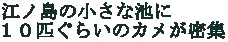 ]m̏Ȓr POC炢̃JW 