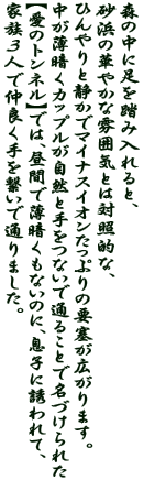 X̒ɑ𓥂ݓƁA l̉؂₩ȕ͋CƂ͑ΏƓIȁA ЂƐÂŃ}CiXCIՂ̗vǂL܂B ÂJbvRƎȂŒʂ邱ƂŖÂꂽ ỹglzł́AԂŔÂȂ̂ɁAqɗUāA ƑRlŒǂqŒʂ܂B 