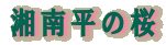 Ó약̍
