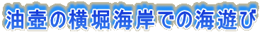 ̉xC݂ł̊CV
