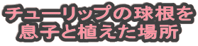 `[bv̋ qƐAꏊ