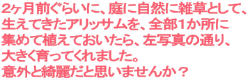 QO炢ɁAɎRɎGƂāA ĂAbTASP W߂ĐAĂAʐ^̒ʂA 傫Ă܂B ӊOY킾Ǝv܂񂩁H