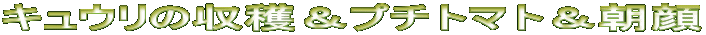 LE̎nv`g}g