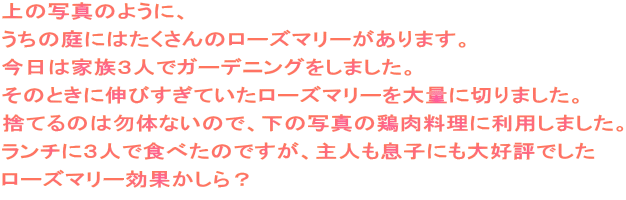 ̎ʐ^̂悤ɁA ̒ɂ͂̃[Y}[܂B ͉ƑRlŃK[fjO܂B ̂ƂɐLтĂ[Y}[ʂɐ؂܂B ̂Ăܑ͖̂̂Ȃ̂ŁA̎ʐ^̌{ɗp܂B `ɂRlŐĤׂłAlqɂD]ł [Y}[ʂH