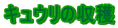 LE̎n