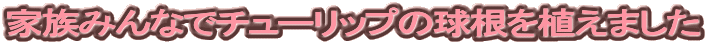 Ƒ݂ȂŃ`[bv̋A܂