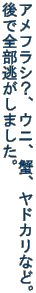 AtVHAEjAIAhJȂǁB őS܂B