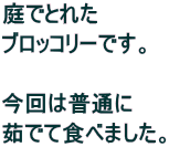 łƂꂽ ubR[łB  ͕ʂ 䥂łĐHׂ܂B