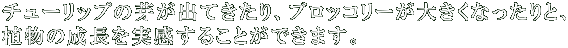 `[bv̉肪oĂAubR[傫ȂƁA A̐邱Ƃł܂B