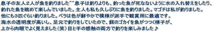 q̗FlQlނ܂OOq͒ނAނȂȂ悤ɐ̓ւA ނꂽ𒭂߂Ċył܂BlvԂɋނ܂B}S`͎ނ܂B ɂRC炢ނ܂Bx͐FN₩Ŗ͗lhŊϏܗpɍœKłB C̓xAŒނĂ̂ŁAãSJClqA ォł悭܂i΁jڂƎ̊G̗Œނy݂܂