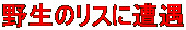 쐶̃Xɑ 