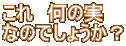 @̎ Ȃ̂ł傤H