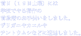 OiPXyjjɂ wZł OiK̂`܂B UKjJG egEVȂǂɑ܂B