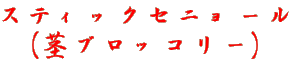 XeBbNZj[ isubR[j