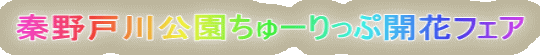`ː[ՊJԃtFA