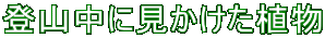 oRɌA