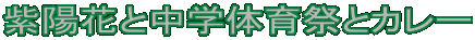 zԂƒẅՂƃJ[ 
