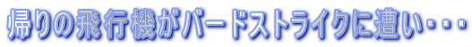 A̔s@o[hXgCNɑEEE