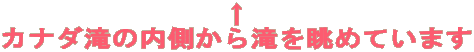  Ji_̓𒭂߂Ă܂