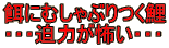 aɂނԂ EEE͂|EEE