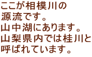 ͐ łB R΂ɂ܂B Rł͌j Ă΂Ă܂B