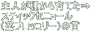 l킩Ă XeBbNZj[@ isubR[j̕c@