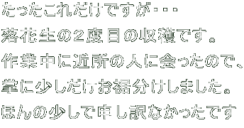 ꂾłEEE Ԑ̂Qxڂ̎nłB ƒɋߏ̐lɉ̂ŁA ɏ܂B ق̏Ő\Ȃł