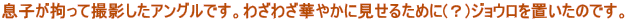 qSĎBeAOłB킴킴؂₩Ɍ邽߂(H)WEûłB