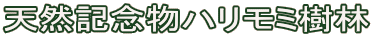 VRLOn~
