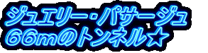 ジュエリー・パサージュ　 ６６ｍのトンネル★