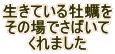 Ă鉲y ̏ł΂ ܂
