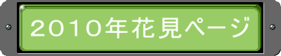 QOPONԌy[W