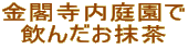 t뉀 񂾂